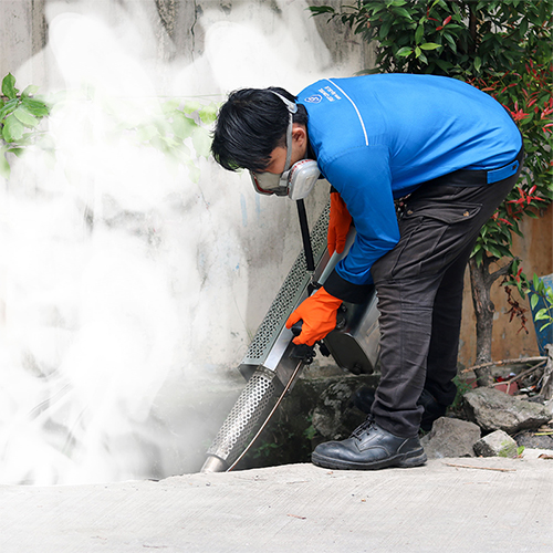 jasa fogging nyamuk lombok